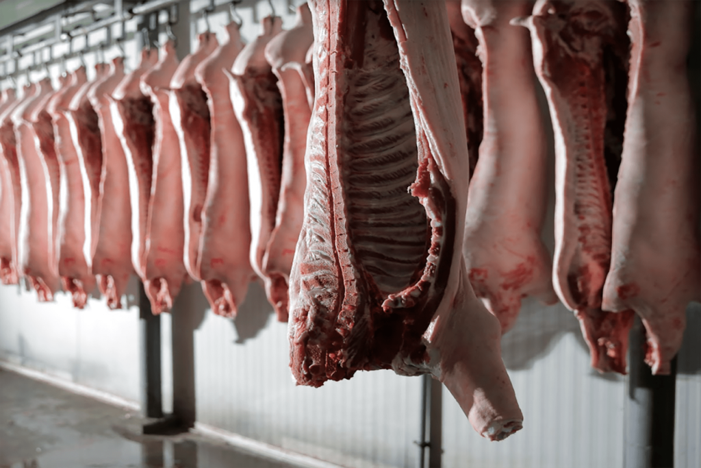 frozen pork Frozen pork intestines