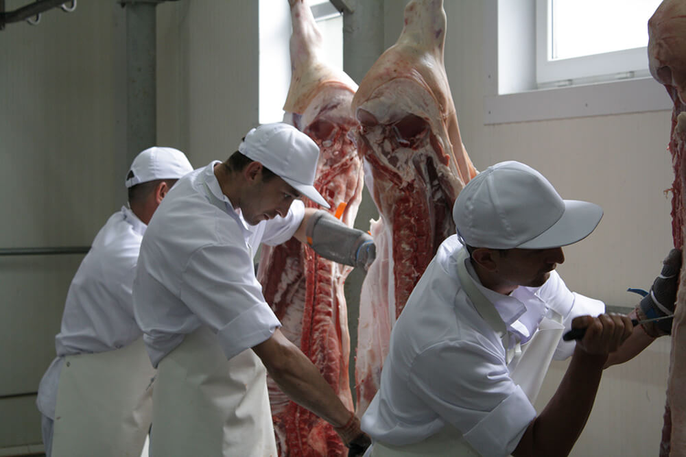 pork 8